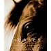 Horses: Photographs