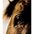 Horses: Photographs