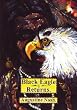 Black Eagle Returns