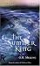 Book The Chronicles of Faerie: The Summer King (Chronicles of Faerie)