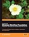 Programming Windows Workflow Foundation: Practical WF Techniques and Examples using XAML and C#: A C# developer's guide to the features and programming interfaces of Windows Workflow Foundation