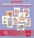 Interactions: Exploring the Functions of the Human Body/Gas Exchange and Ph Balance: The Respiratory System, CD 7