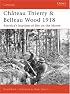 Chateau Thierry & Belleau Wood 1918: The AEF's baptism of fire on the Marne (Campaign)