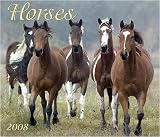 Horses 2008 Deluxe Wall Calendar