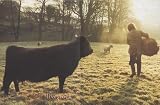 The River Cottage Cookbook