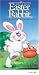 First Easter Rabbit