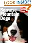Bernese Mountain Dogs (Barron's Complete Pet Owner's Manuals)