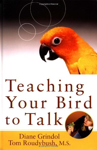 teaching your bird to talk