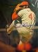 Bob Gibson St. Louis Cardinals Autographed 11 x 14 Professionally Matted Color Photo