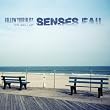Follow Your Bliss: The Best Of Senses Fail [2 CD][Limited Edition] by Senses Fail (2012-06-19)【並行輸入品】