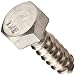 Stainless Steel Lag Bolt, Hex Head