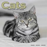 Cats 2010 Wall Calendar 12 X 12