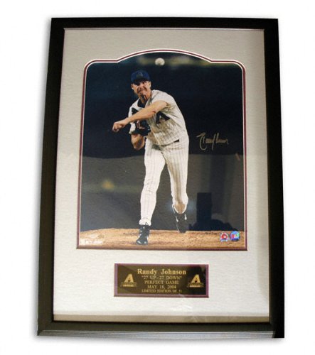 Randy Johnson Arizona Diamondbacks LE 16x20 Autographed Photograph w/Engraved Name, Date and ''27 up 27 down'' Inscription