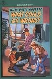 What Could Go Wrong?