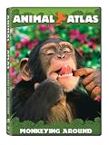 Animal Atlas: Monkeying Around
