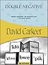 Double Negative (Felony & Mayhem Mysteries)