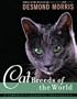Cat Breeds of the World