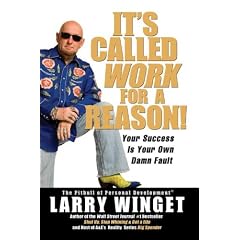 It's Called Work for a Reason!: Your Success is Your Own Damn Problem!