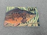 Catch more carp
