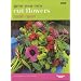 Grow Your Own Cut Flowers