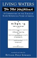 Living Waters: The Mei HaShiloach