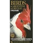 Birds of Argentina and Uruguay: A Field Guide by Dario Yzurieta and Tito Narosky