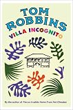 Villa Incognito
