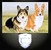 Welsh Corgi Pair Decorative Night Light