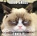 Grumpy Cat Backpack Fashion School Backpack Star Sky Gray