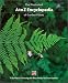 The Illustrated A to Z Encyclopedia of Garden Plants: A Guide to Choosing the Best Plants for Your Garden