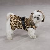 Zack & Zoey Polyester Gold Print Leopard Dog Dress, X-Small, Black