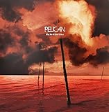 What We All Come to Need (180 Gram Colored Vinyl)