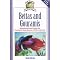 Bettas : Siamese Fighting Fish
