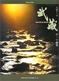 �s�A�m�\�� ��̓h���} ����-MUSASHI-/�e�[�}�ȏW (�s�A�m�E�\��)