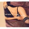 Erotic Lounge 9-Cool Desires