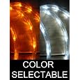 25Ft Color Selectable Rope Lights; orange and pure white LED Rope Light Kit; Christmas Lighting; outdoor rope lighting