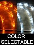 IMAGE OF 25Ft Color Selectable Rope Lights; orange and pure white LED Rope Light Kit; Christmas Lighting; outdoor rope lighting