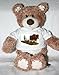 Teddy Bear with horsedrawn, agriculture, farmer, plow, horses, harness, draft, blinders, plojning, farming, plowing, animal, blade, field, equipment t-shirt