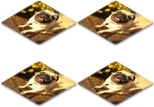 Pug Dog Puppy Pet Animal Garden Flowers Square Coaster (4 Piece) Set Fabric Rubber 5 Inch Size Liil Coaster Cup Mug Can Water Bottle Drink Coasters Stain Resistance Collector Kit Kitchen Table Top Desk