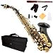 Cecilio 2Series SS-300BNG Black/Nickel Plated and Gold Keys Curved Bb Soprano Saxophone + Case, Reeds and Accessories