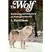 The Wolf: The Ecology and Behaviour of an Endangered Species
