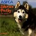 Book Siberian Husky (Aspca Dog and Cat Breed Series)