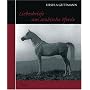 Liebesbriefe um arabische Pferde