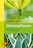 Taschenatlas Zimmerpflanzen: 350 Arten f&uuml;r Wohnraum und Wintergarten - Martin Haberer
