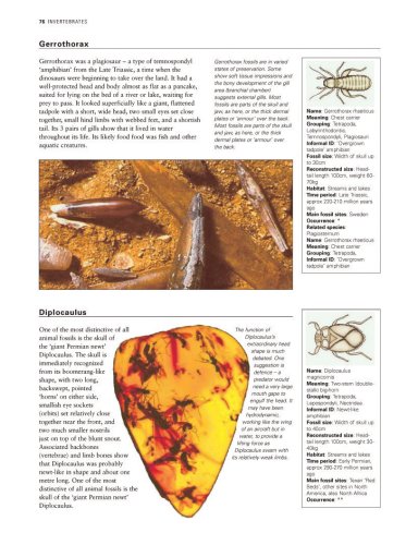 Cover image : The World Encyclopedia Of Fossils And Fossil-Collecting