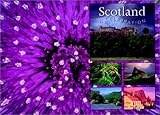 Scotland, a Celebration