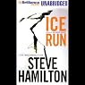 Ice Run: Alex McKnight Mystery #6