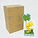 Enesco Jim Shore Peanuts Luck of The Woodstock St Patricks Day Figurine 4049395 New