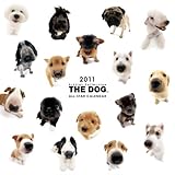 THE DOG ALL-STAR 2011ǯ ��������