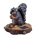 Solar Decorative Squirrel